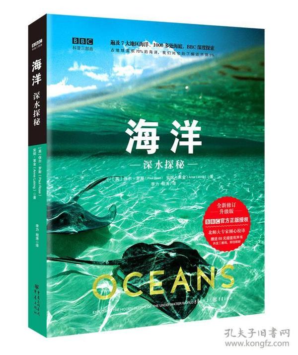 大海的奥秘，探索两字词语描绘的广阔海域