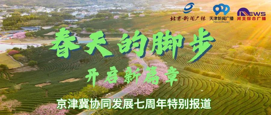 立春探寻，2025年春天的脚步何时来临？