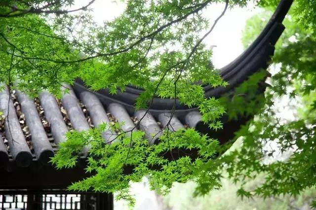成语中的自然美学与深邃智慧，叠翠成趣的探索