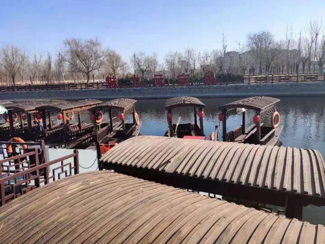 绿意盎然的小草