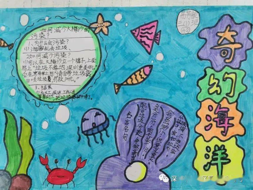 二年级探险之旅，心中的奇妙大海