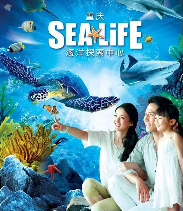 蓝色大海的奇妙探索与体验