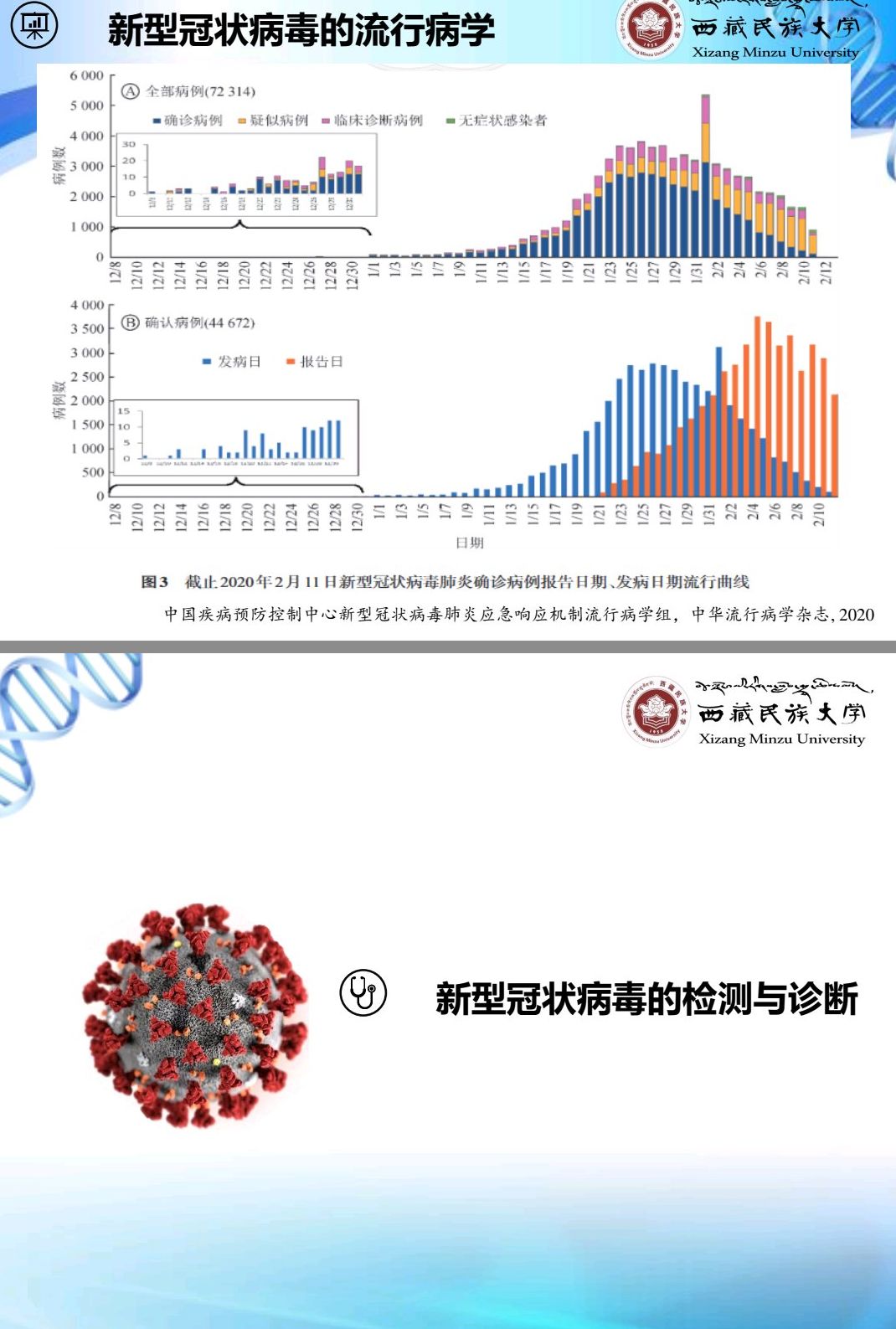 三年疫情背后的病毒面纱，新冠病毒深度解析
