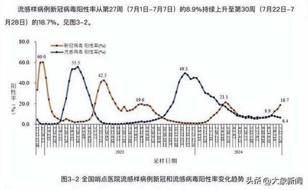 疫情开始时间的探究与解析