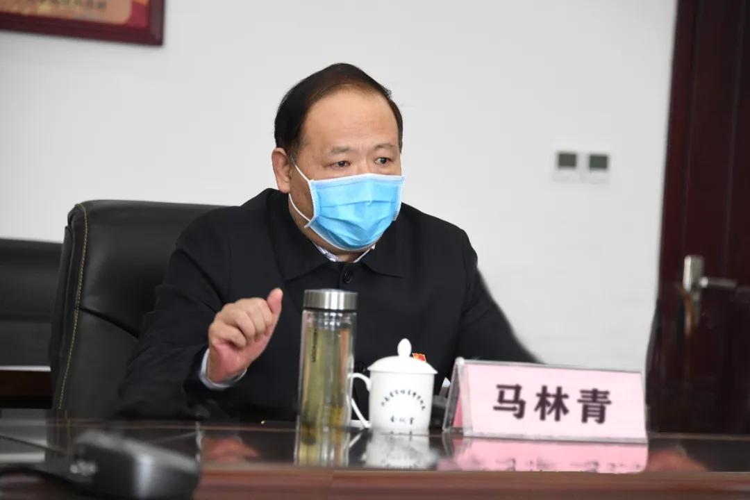 河南疫情最新动态解析，12日疫情消息全面解读
