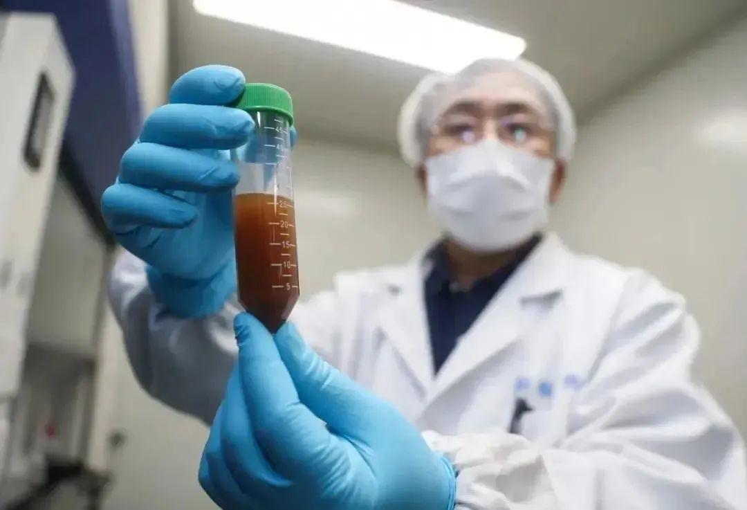 疫情下病毒名称及其全球影响概述