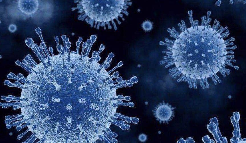 新冠疫情下的冠状病毒属性探究
