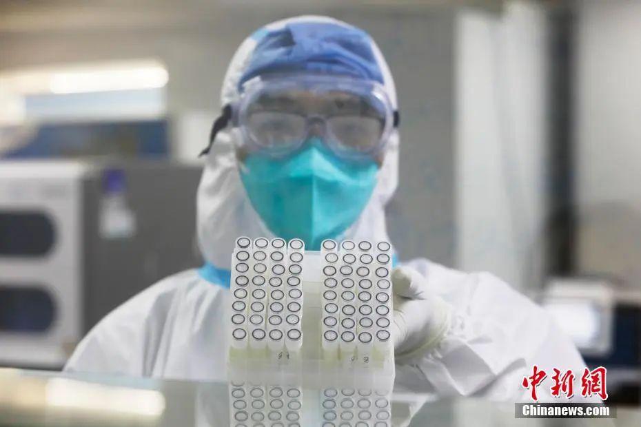 三年疫情深度解析，起源、发展与影响全面剖析