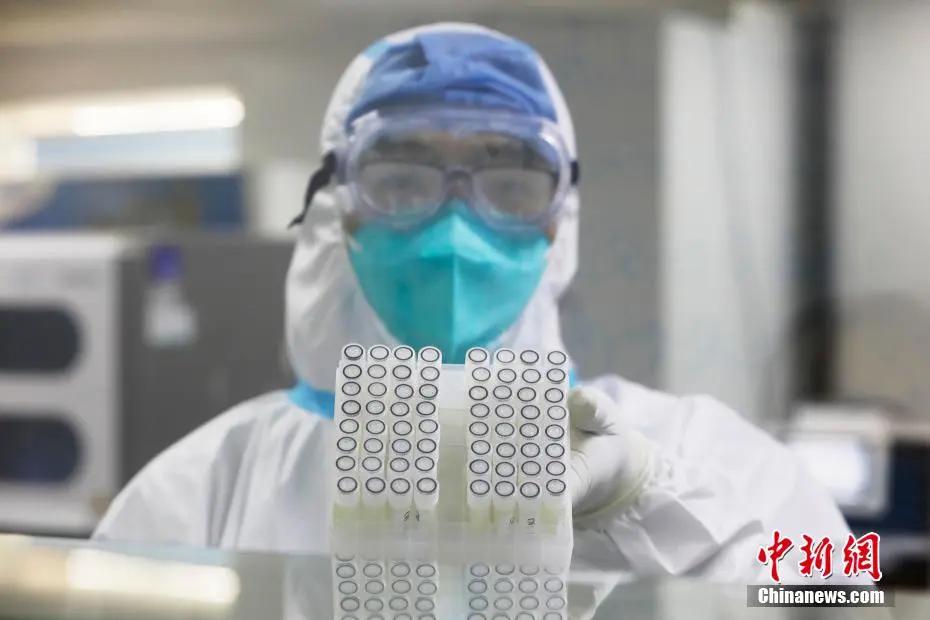 三年疫情深度解析，起源、发展与影响全面剖析