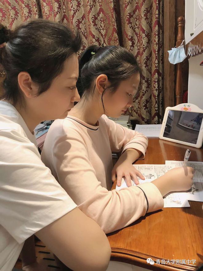 疫情期间家教心得，挑战与机遇并存的教育之旅
