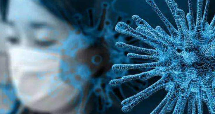 疫情病毒名称解析与症状表现研究