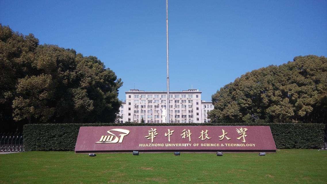 全球疫情病毒挑战与应对策略