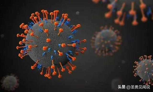 疫情与病毒名称揭秘，由来探究