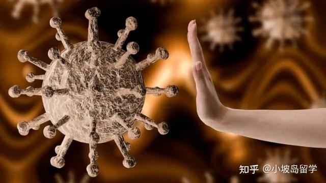 新冠病毒变异背后的故事，从疫情到变异病毒名字的探究