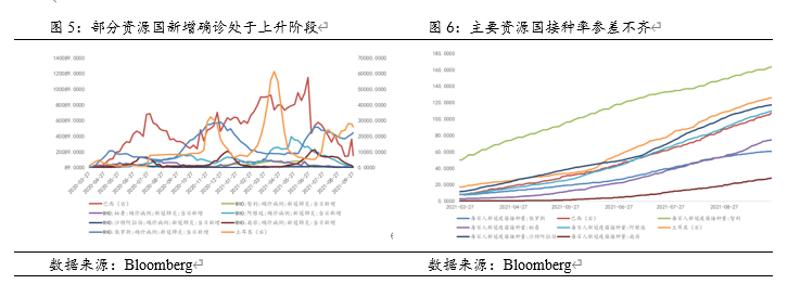 疫情期间最佳股票，探索与洞察之道