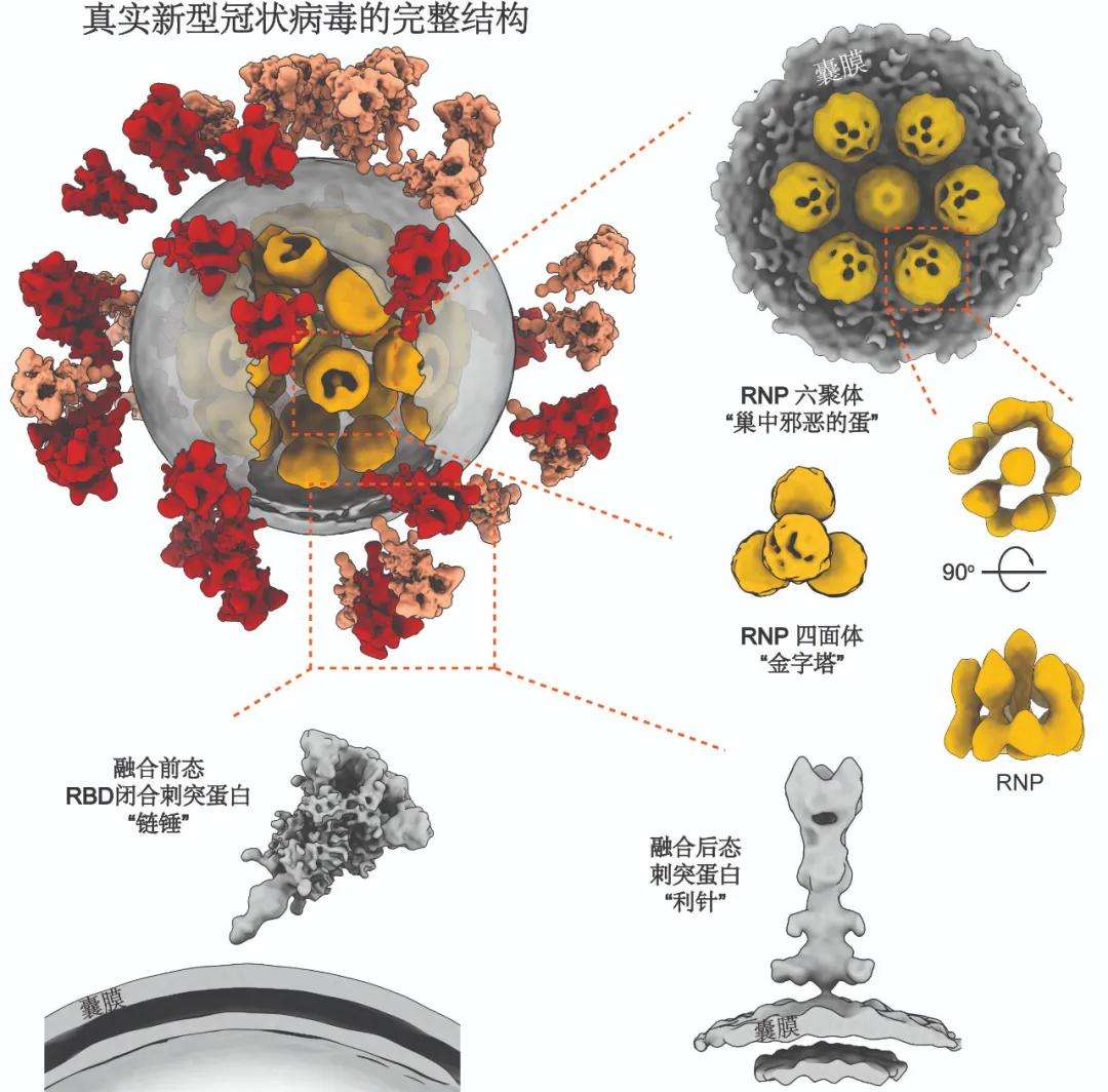 教程辅助!“南通长牌开挂神器下载”(原来确实是有挂)