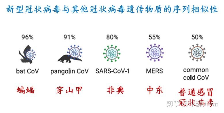 【郑州疫情比武汉严重吗,郑州疫情比武汉严重吗现在】