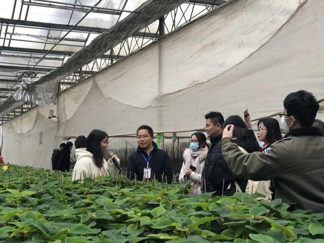 疫情高峰下的挑战与应对，2020年2月严峻考验的应对之策