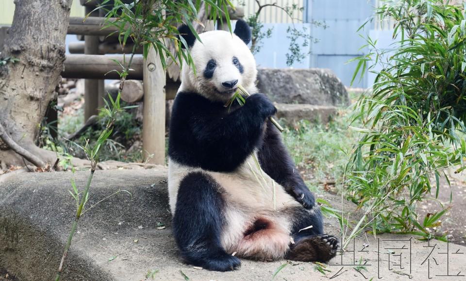 云南省疫情紧急通知兰州最新/云南省疫情紧急通知兰州最新消息