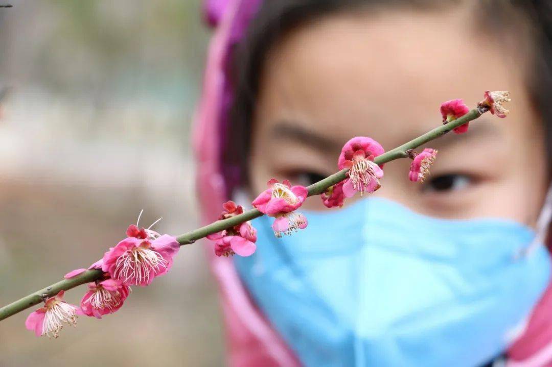 黑龙江省疫情防控最新通知，科学精准施策，筑牢健康防线