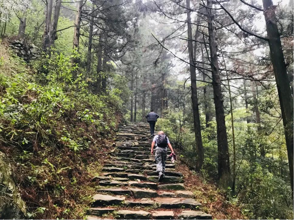 辅助神器“指尖跑得快好牌诀窍”(原来确实是有挂)