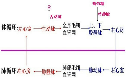 疫情历程，起始与终结的轨迹