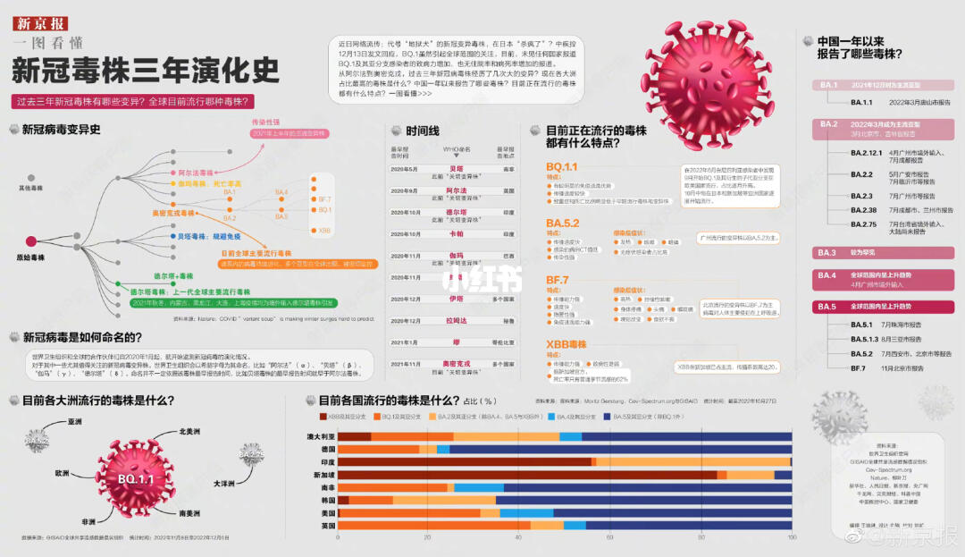 新冠病毒肆虐与防控历程，从疫情起始到终结的全面解读