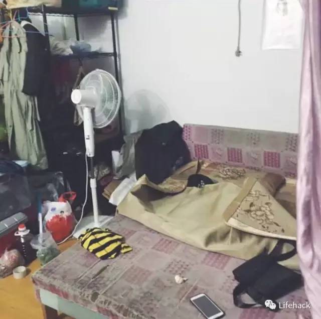 疫情下的情侣出租屋，挑战与希望交织的生活篇章