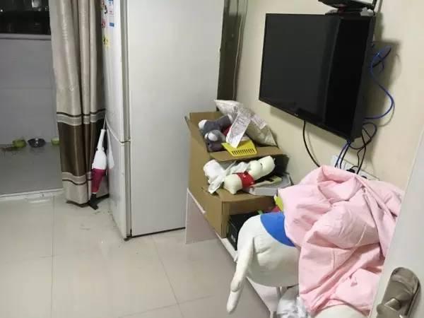 疫情下的情侣出租屋，挑战与希望交织的生活篇章