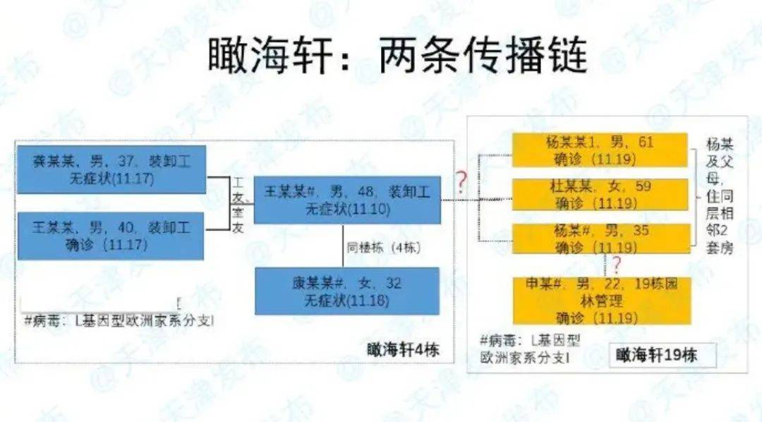 武汉病毒疫情起始时间与影响概述