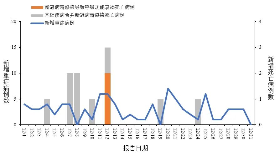 新冠疫情新病毒症状研究，深入了解与影响分析