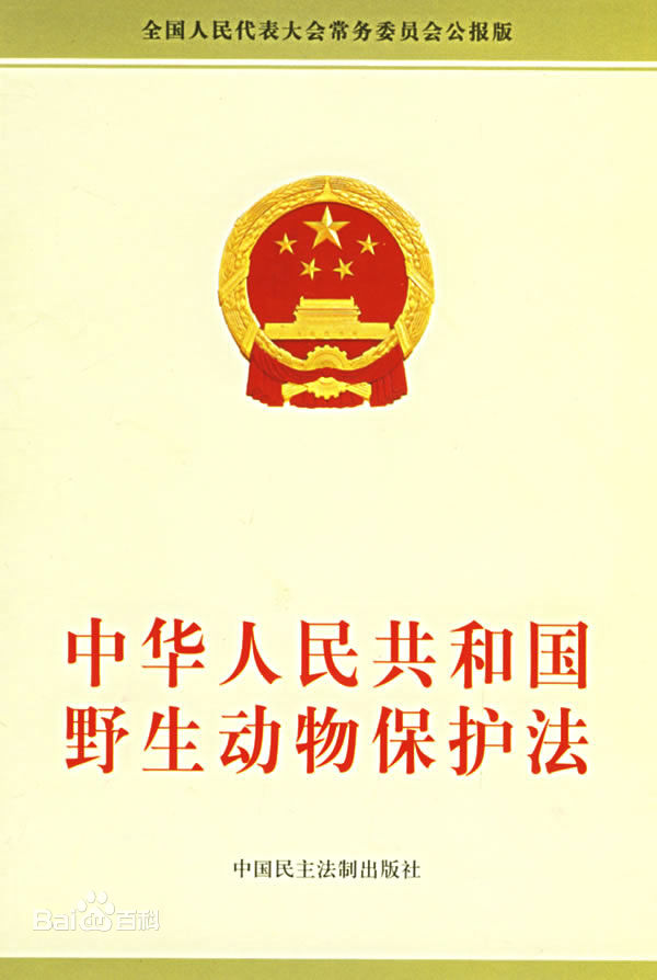 中国新冠疫情开始日期，回顾与反思的历程