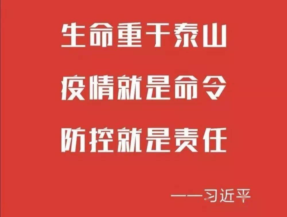 疫情爆发之际，中国面临的挑战与应对时刻