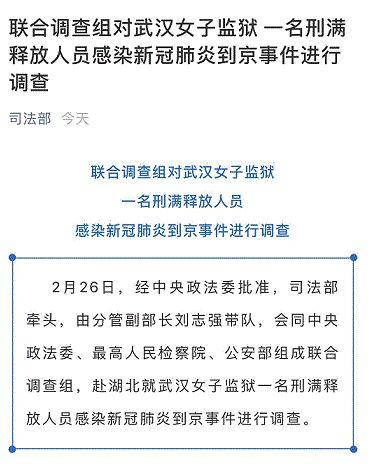 湖北疫情发生年份及其影响