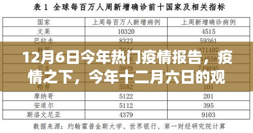 疫情爆发回顾与反思，自XXXX年XX月XX日以来的观察与启示