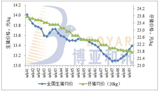 北京疫情全面解封，希望与未来的交汇时刻