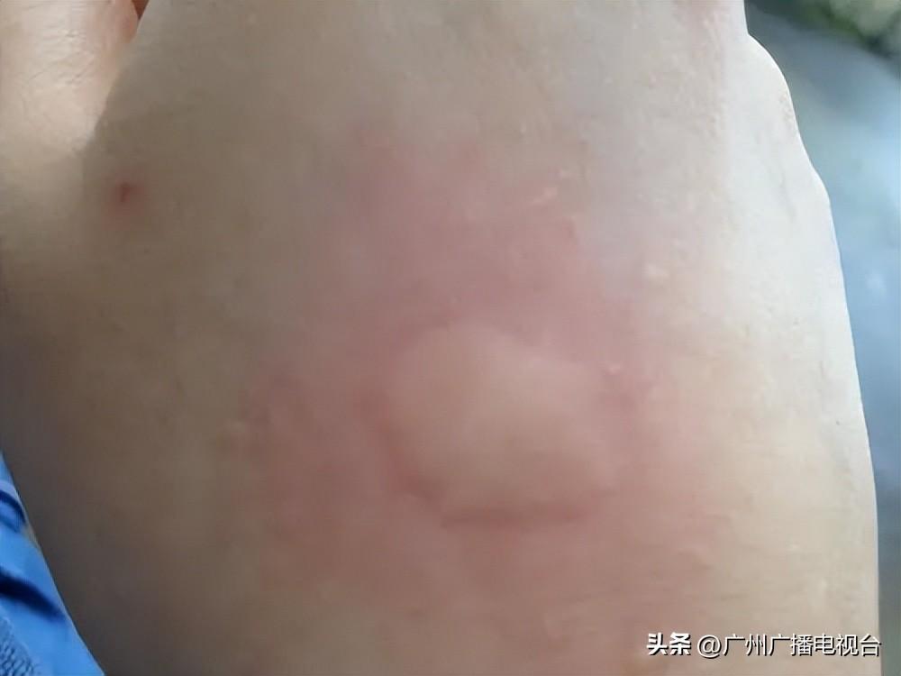 介绍一款“微乐陕西挖坑开挂版本软件”(原来确实是有挂)