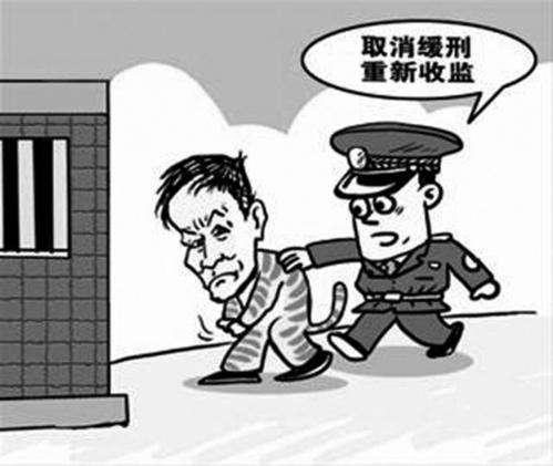 福建省与上海市疫情防控最新动态报告