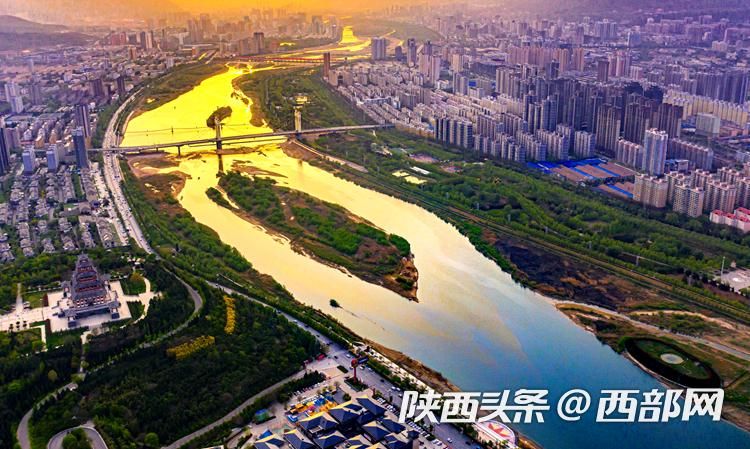 陕西省水利厅各处处长最新动态及成就概览