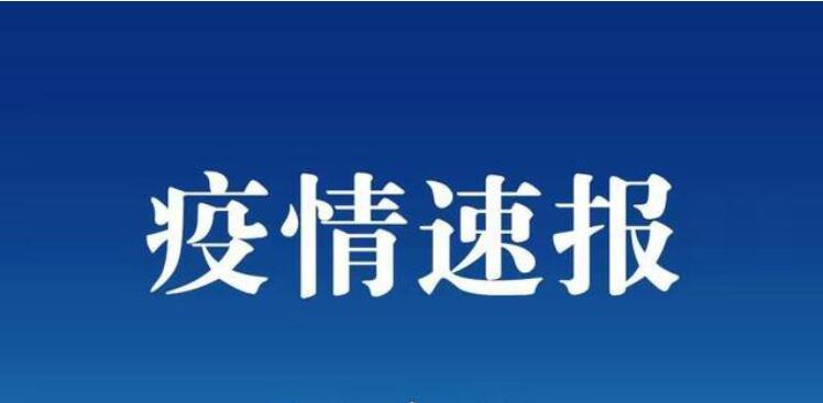 辽宁省沈阳市疫情最新消息视频报道，实时更新与解读