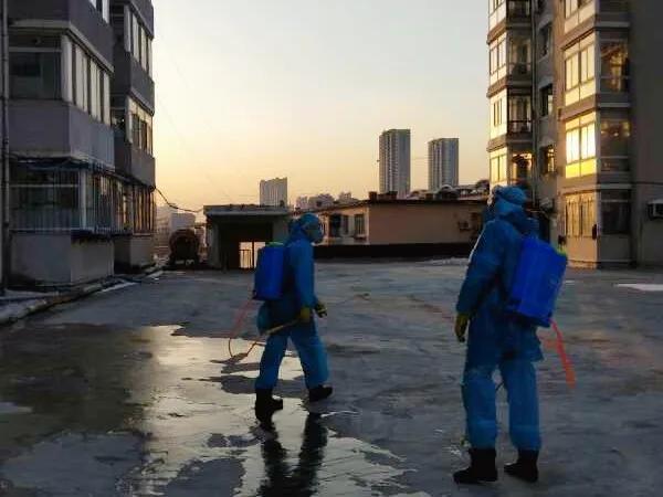 沈阳疫情预测，挑战与希望同在