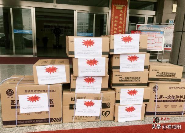 沈阳与南京疫情轨迹，共克时艰的抗疫历程