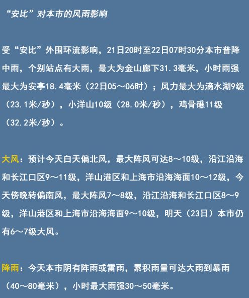 上海抗议事件深度解析，背景、原因与影响探究