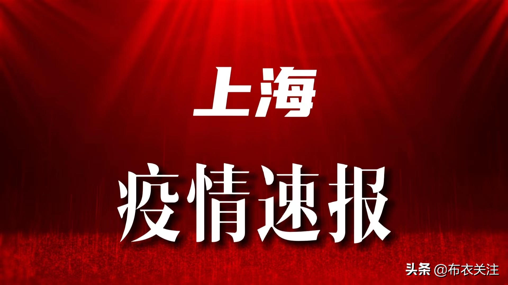上海最新疫情通报，全面应对，共筑防线防线