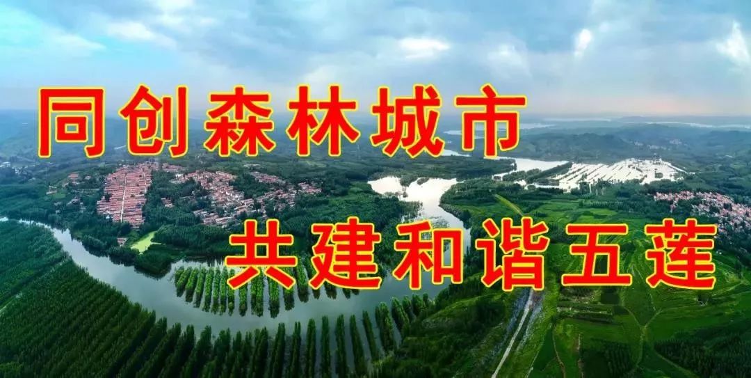 拉萨防疫，坚守与担当，共筑坚强防线