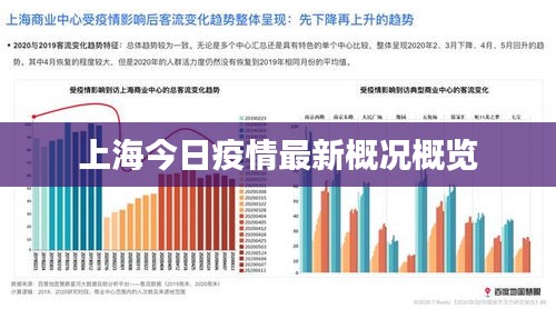 上海疫情情况分析报告