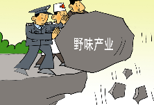 上海疫情现状解析，积极应对与全民努力迎战严峻挑战