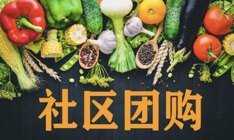 上海新疫情挑战及应对策略