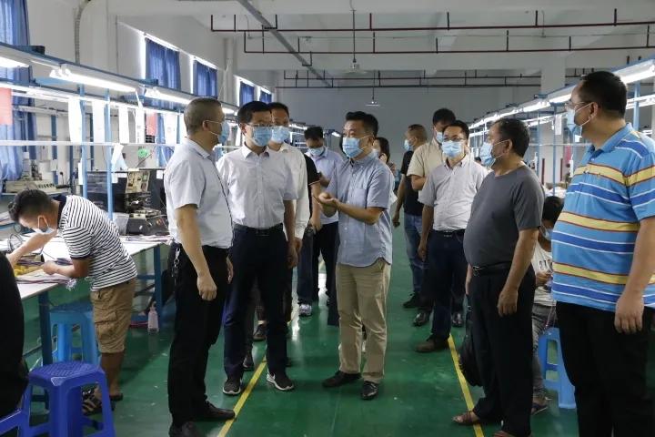 上海与云南疫情形势分析，最新数据与趋势解读