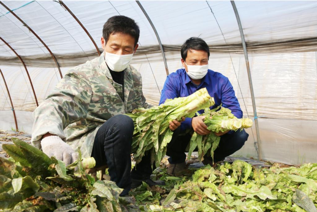 安徽疫情通知与昆明最新动态更新